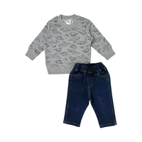 Conjunto dinoest gris