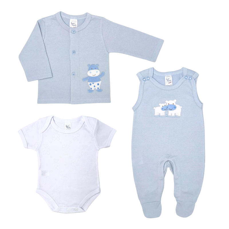 Primera muda hippo azul